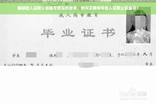 揭秘收入证明公章编号背后的故事，如何正确填写收入证明公章编号？