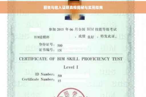 薪资与收入证明真相揭秘与实用指南