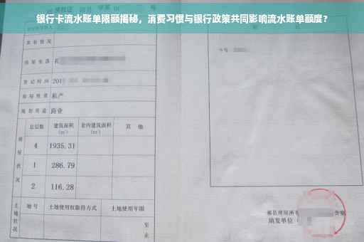 银行卡流水账单限额揭秘，消费习惯与银行政策共同影响流水账单额度?