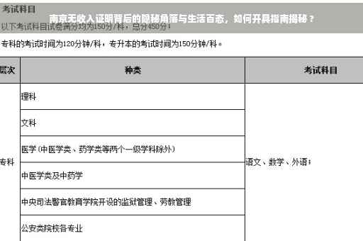 南京无收入证明背后的隐秘角落与生活百态，如何开具指南揭秘 ?