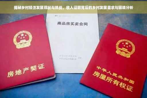 揭秘乡村经济发展现状与挑战，收入证明背后的乡村发展需求与困境分析