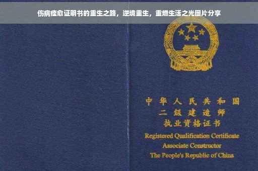 伤病痊愈证明书的重生之路，逆境重生，重燃生活之光图片分享