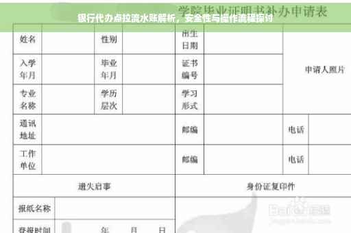 银行代办点拉流水账解析，安全性与操作流程探讨