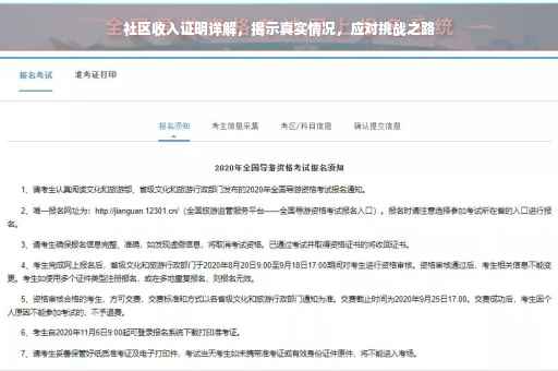 社区收入证明详解，揭示真实情况，应对挑战之路