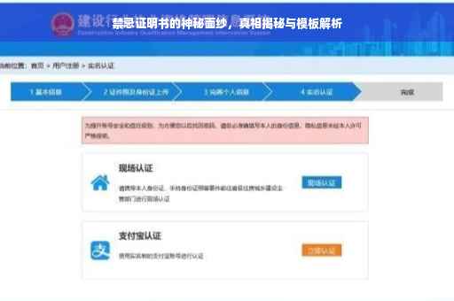 禁忌证明书的神秘面纱，真相揭秘与模板解析