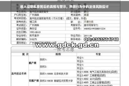 收入证明乱象背后的真相与警示，购房行为中的法律风险探讨