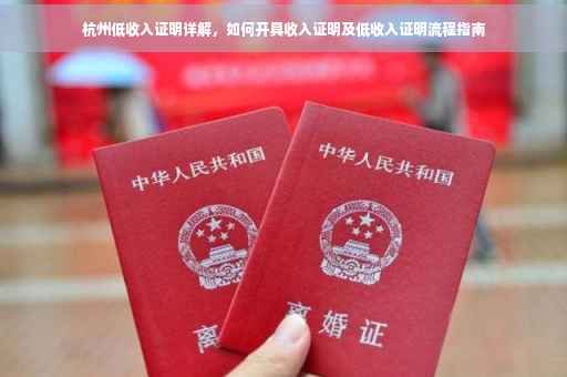 杭州低收入证明详解，如何开具收入证明及低收入证明流程指南