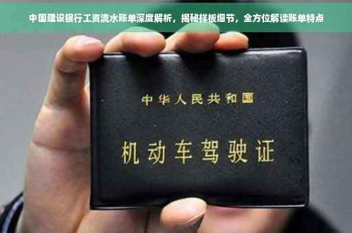 中国建设银行工资流水账单深度解析，揭秘样板细节，全方位解读账单特点