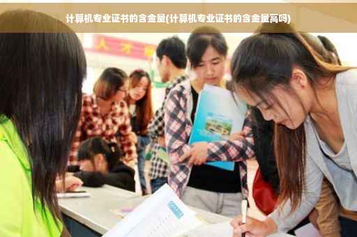 计算机专业证书的含金量(计算机专业证书的含金量高吗)