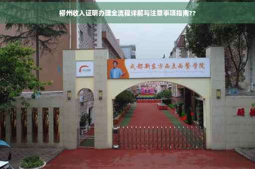 柳州收入证明办理全流程详解与注意事项指南??