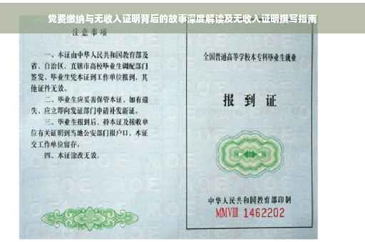 党费缴纳与无收入证明背后的故事深度解读及无收入证明撰写指南