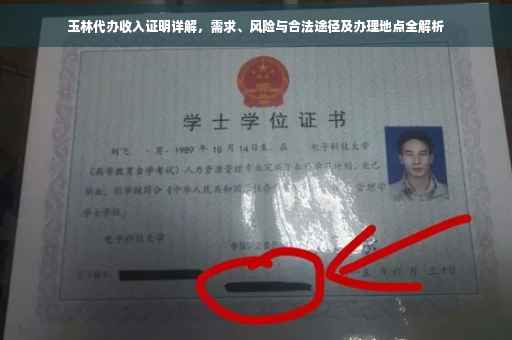 玉林代办收入证明详解，需求、风险与合法途径及办理地点全解析