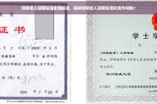 特困收入证明标准全面解读，揭秘特困收入证明标准究竟为何物？