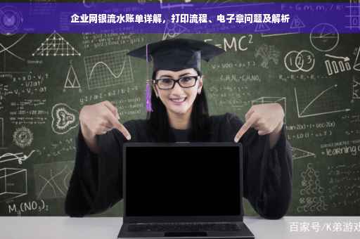 企业网银流水账单详解，打印流程、电子章问题及解析
