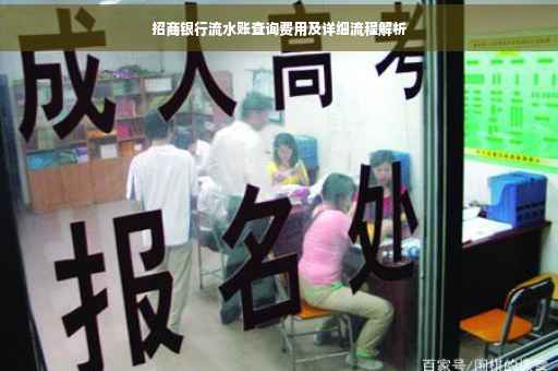 招商银行流水账查询费用及详细流程解析