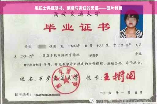 退役士兵证明书，荣耀与责任的见证——图片特辑