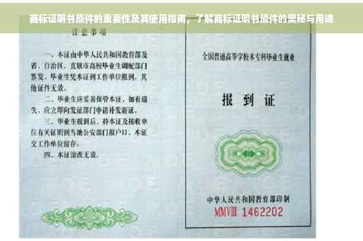 商标证明书原件的重要性及其使用指南，了解商标证明书原件的奥秘与用途