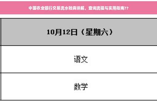 中国农业银行交易流水验真详解，查询流程与实用指南??