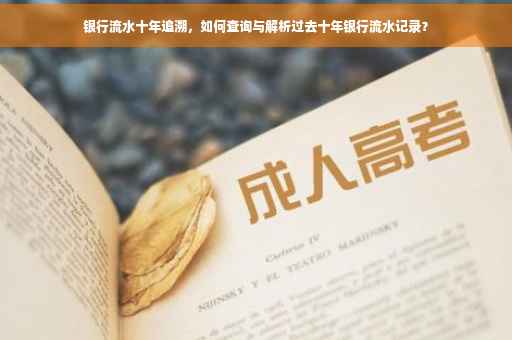 银行流水十年追溯，如何查询与解析过去十年银行流水记录？