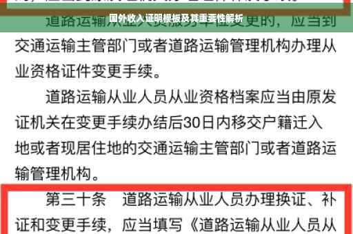 国外收入证明模板及其重要性解析