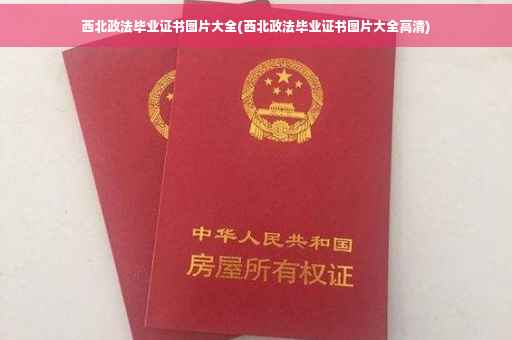 西北政法毕业证书图片大全(西北政法毕业证书图片大全高清)