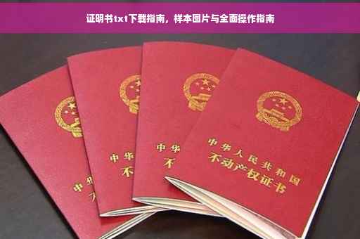证明书txt下载指南，样本图片与全面操作指南