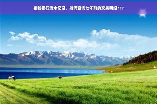 揭秘银行流水记录，如何查询七年前的交易明细???