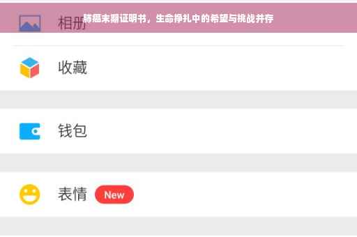 肺癌末期证明书，生命挣扎中的希望与挑战并存
