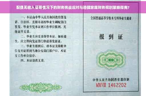 配偶无收入证明情况下的财务挑战应对与稳健家庭财务规划策略指南?