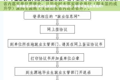 国航取消证明书事件深度解析，真相探究、影响评估与反思应对?