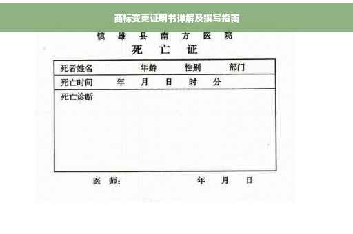 商标变更证明书详解及撰写指南