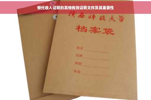替代收入证明的其他有效证明文件及其重要性