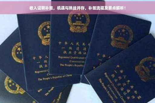 收入证明补签，机遇与挑战并存，补签流程及要点解析！
