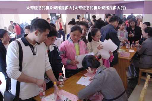大专证书的相片规格是多大(大专证书的相片规格是多大的)