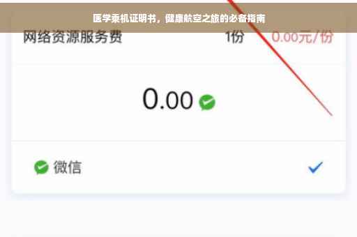 医学乘机证明书，健康航空之旅的必备指南