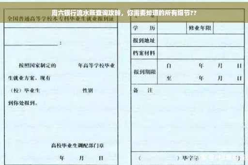 周六银行流水账查询攻略，你需要知道的所有细节??