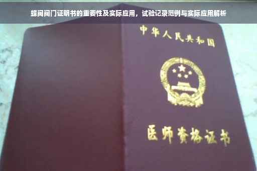 蝶阀阀门证明书的重要性及实际应用，试验记录范例与实际应用解析