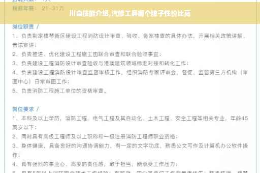 川自技能介绍,汽修工具哪个牌子性价比高
