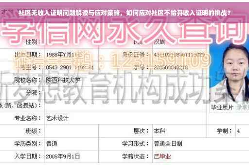 社区无收入证明问题解读与应对策略，如何应对社区不给开收入证明的挑战？