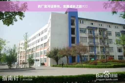 药厂实习证明书，实践成长之旅?⚡️