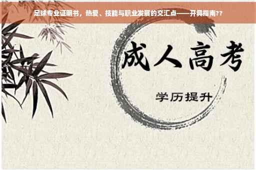 足球专业证明书，热爱、技能与职业发展的交汇点——开具指南??