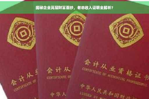 揭秘企业高层财富面纱，老总收入证明全解析?
