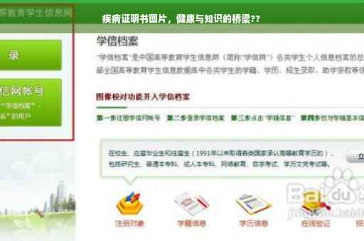 疾病证明书图片，健康与知识的桥梁??