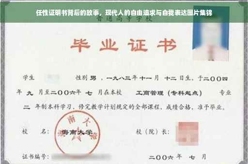 任性证明书背后的故事，现代人的自由追求与自我表达图片集锦