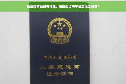 乐清疾病证明书详解，获取地点与申请流程全解析?