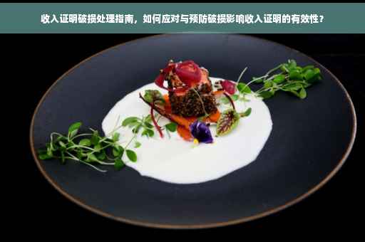 收入证明破损处理指南，如何应对与预防破损影响收入证明的有效性？