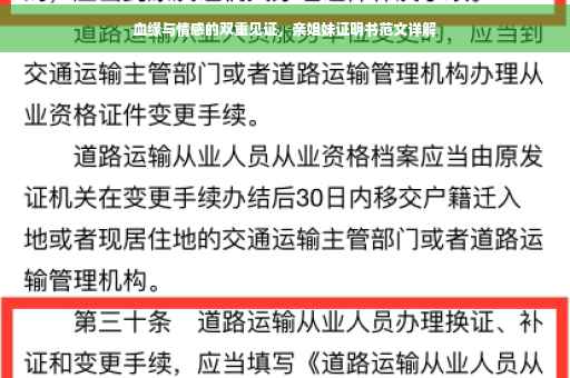 血缘与情感的双重见证，亲姐妹证明书范文详解