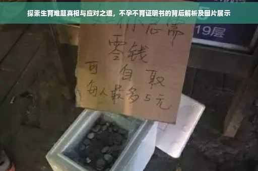 探索生育难题真相与应对之道，不孕不育证明书的背后解析及图片展示