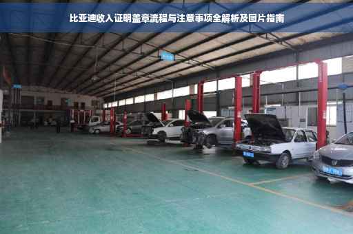 比亚迪收入证明盖章流程与注意事项全解析及图片指南