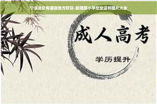 宁波北仑有哪些地方好玩-新建路小学毕业证书图片大全